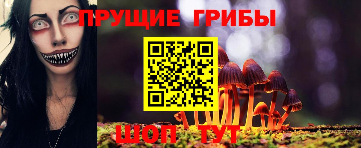 ГАШ Дивногорск